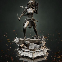 dama Stormtrooper samurai ventilador Arte juego estrella guerras sexy 3d print model - Mito3D