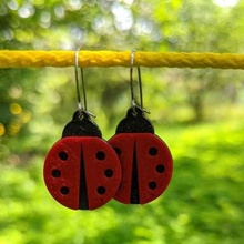 ladybug earrings jewelry earrings ladybird ladybug