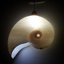 Lampe nautilus Kunst 3d print model - Mito3D