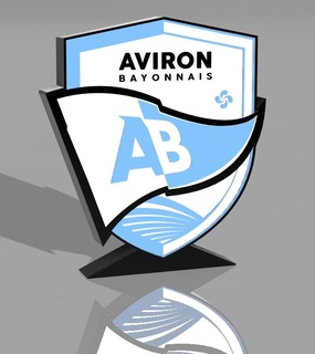 lampes aviron bayonnais lampe bayonne LED amusement 3d print model - Mito3D