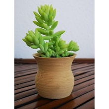 landy Vase Basic 7 Pflanze Design Natur Boden Sammlung Holz Licht 3d print model - Mito3D