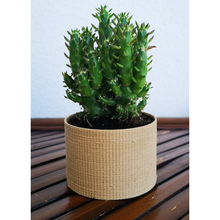 landy vase - striped 5 plant design nature soil collection wood light 3d print model - Mito3D