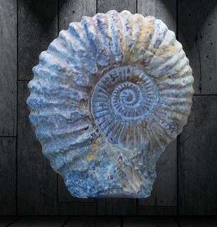 large ancient fossilized ammonite morocco 3d print model - Mito3D