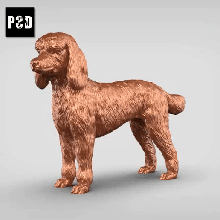 large poodle v1 art dog animal toy pet figurines 3d print model - Mito3D
