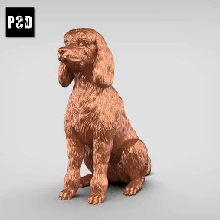 ampla poodle v2 arte cão animal brinquedo estatuetas 3d print model - Mito3D