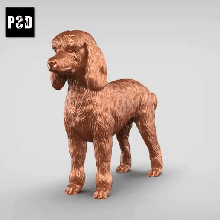 large poodle v3 art dog animal toy pet figurines 3d print model - Mito3D