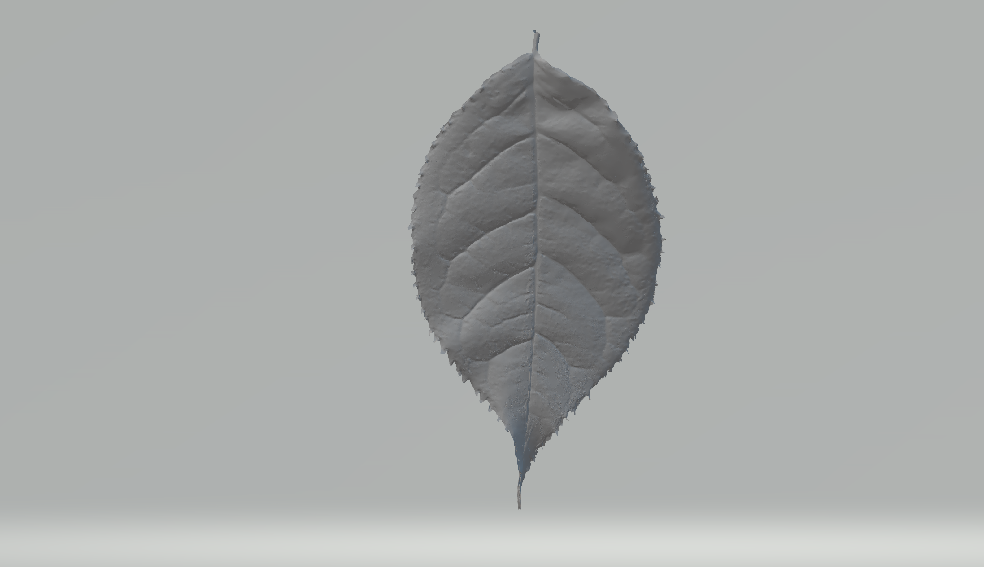 leaf Art 3dscan 3D print model - Mito3D