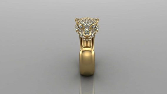 salto anillo anillos 3d print model - Mito3D