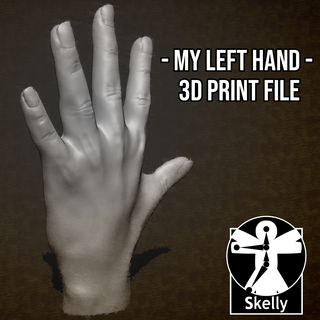 sinistra mano modello scolpire zbrush arte arredamento dita palma umano 3d print model - Mito3D