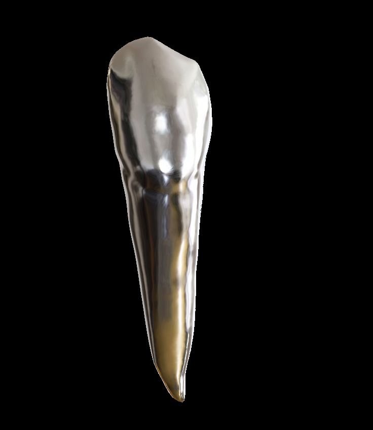 sinistra inferiore canino 33 dente superiore odontoiatria protesi dentale radice 43 prototipo tipodonte ceramica restauro max zirconia 3D print model - Mito3D