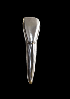 izquierda inferior lateral incisivo 32 diente Superior central odontología prótesis dental raíz 42 prototipo tipodonto cerámico restauracion max circonita 3d print model - Mito3D