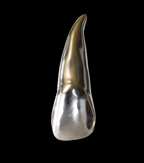 left upper lateral incisor 22 tooth incisors central dentistry prosthesis dental root 3d print model - Mito3D