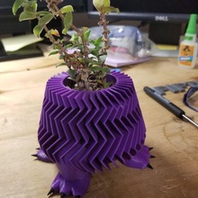 Bein Vase saftig Kaktus Beine Bowser 3d print model - Mito3D