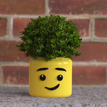 lego type head planter pot plant flowerpot 3d print model - Mito3D