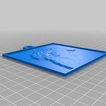 leia sanat özelleştirilmiş 2d 3d print model - Mito3D