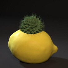 lemon planter art other interior vase pot general decoration decor printer 3d 3d print model - Mito3D