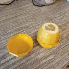 lemon pot 3d print model - Mito3D