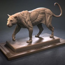 leopard ecorche art lion figure miniatures anatomy panthera animal statue scupture 3d print model - Mito3D