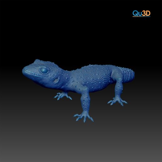 leopardo gecko eublefaris macular animal réptil lagarto 3D print model - Mito3D