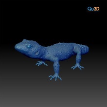 Leopard Gecko Eublepharis Makula Tier Reptil Eidechse 3d print model - Mito3D