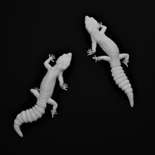 léopard gecko 3d print model - Mito3D