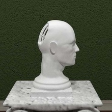 deixe-me art esculturas que desejam definir scupltures escultura prisão modelo mente a cabeça sente-se outra coisa depressão confuso irritado 3dpicks 3d print model - Mito3D