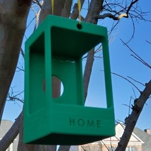 letters birdhouse bird nest customizable fun bird-watching 3d print model - Mito3D