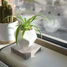 levetating um vaso de planta a casa decoração plantas plantadeira nenhum suporte nosupport levitando cactus plantador 3d print model - Mito3D
