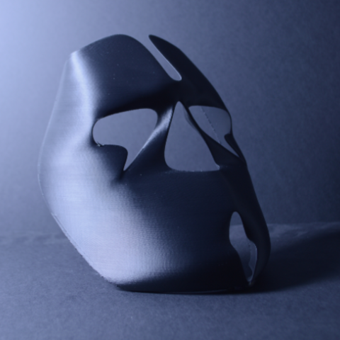 lfs maschera vari scansione 3D print model - Mito3D