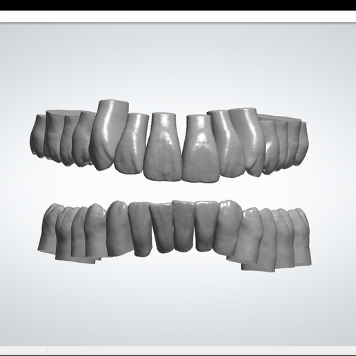 biblioteca denti 3D print model - Mito3D