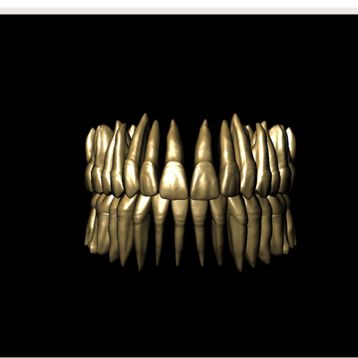 libreria dental con raízes adaptada para meshmixer vários anatomia stl dientes 3d st perez giugovaz raiz 3D print model - Mito3D