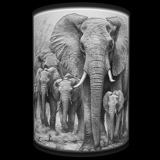 ışık Kutu Serengeti filler 11 3d print model - Mito3D