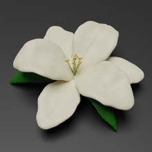 lilyum çiçek doğa bitki Yaprak yeşil botanik Lilly lillium unlu zambaklar Çiçekler ağaç Bahçe 3d print model - Mito3D