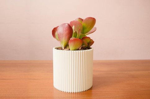 lignes planteur pot grand vase vases mode vasemode petit géométrique fleur spirale low poly tordu stl fichier moderne biologique bonsaï cactus 3d print model - Mito3D