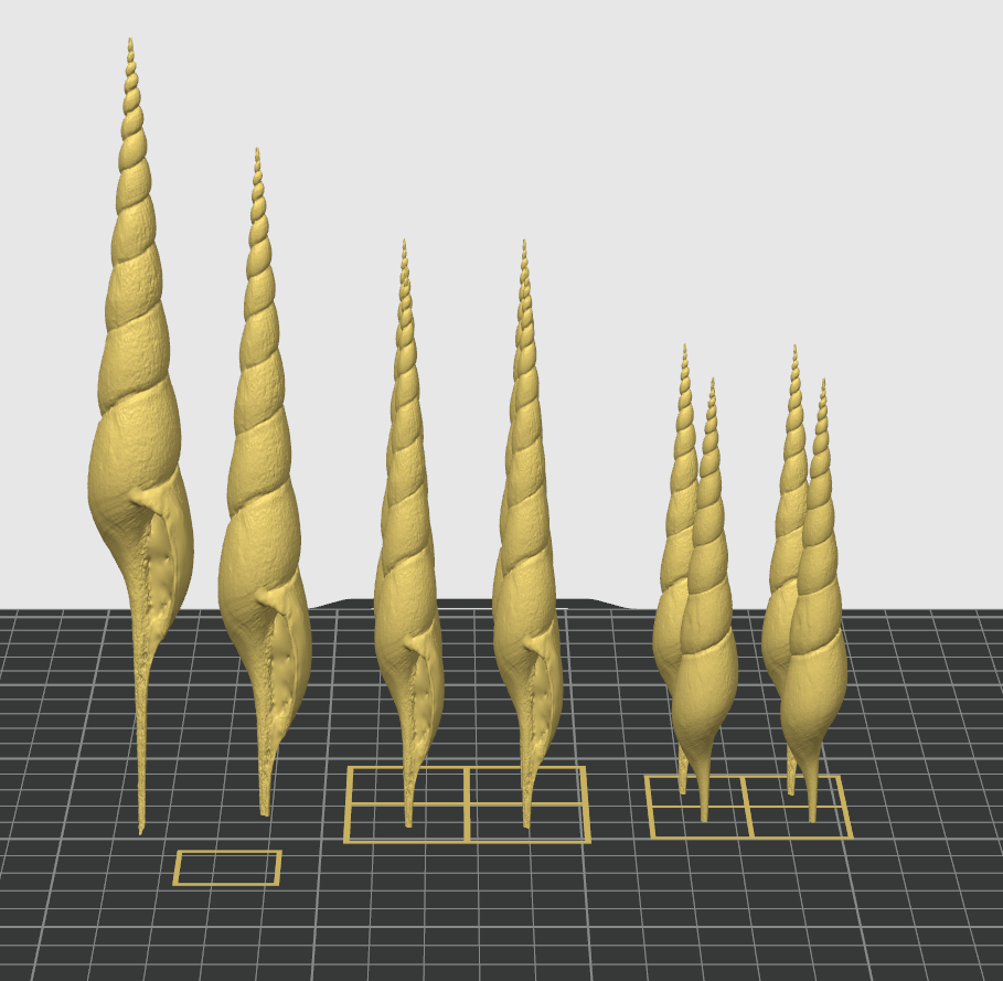 linné sirène coquilles ver terre bandeau couronne décoratif accessoires tourbillon spirale torsion coquille 3D print model - Mito3D