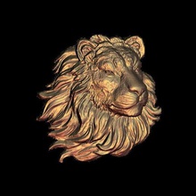 lion Kunst 3d print model - Mito3D