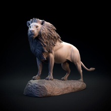 leão pré apoiado arte fêmea animal estátua escultura África gato selvagem leon safári africano dnd companheiro figura estatueta suportado imprimível realista miniatura 3d print model - Mito3D