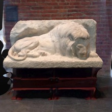 lion brooklyn art museum lobby Tier durchsucht Replikate 3d print model - Mito3D