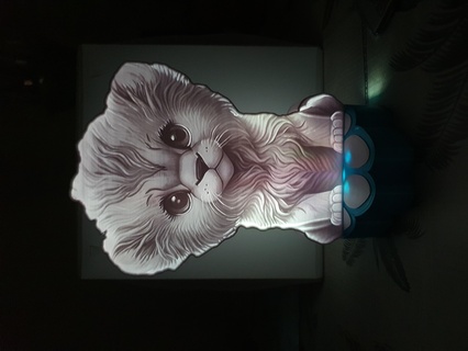 Leone cucciolo litografia lampada felino litofania luce savana animale blu re zampa 3d print model - Mito3D