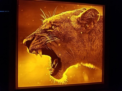 leoa litofano lindo puma conduziu leão National Geographic luz pantera selvagem 2d arte 3d print model - Mito3D