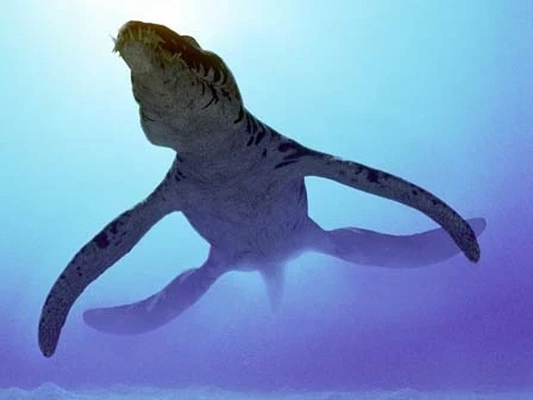 liopleurodonte caminhando dinossauros arte dinossauro plesiosaur marinho réptil jurássico predador mandíbulas dentes fósseis imponente tamanho pré histórico oceanos extinto espécies paleontologia cefalópodes documentário 3d print model - Mito3D