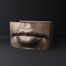 dudaklar pot organizer vase Sanat vazo tencere organizatör ekici heykel çanak iç tasarım dekor ev eşyaları dekorasyon çağdaş Kutu depolama 3d print model - Mito3D