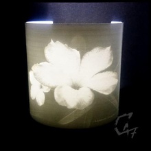 lithophane desert rose c47 blender blender3d decoration light flower 3d print model - Mito3D