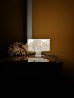 lithophane lamp photo photography 3d printing 3d print model - Mito3D