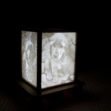 lithophane lampe aracı 3d baskı basit lamba yüzlerce cocker spaniel 3d print model - Mito3D