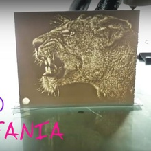 litofania leona various 3dlito lioness lithophane relief 3d print model - Mito3D