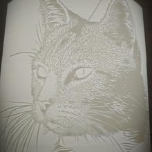 litophanous catetere art cat chat animale la lampada luce 3d print model - Mito3D
