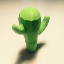 poco cactus arte 3d print model - Mito3D