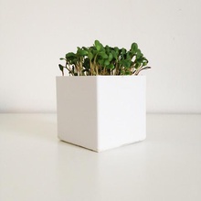 petit carré planteur la maison 3d print model - Mito3D