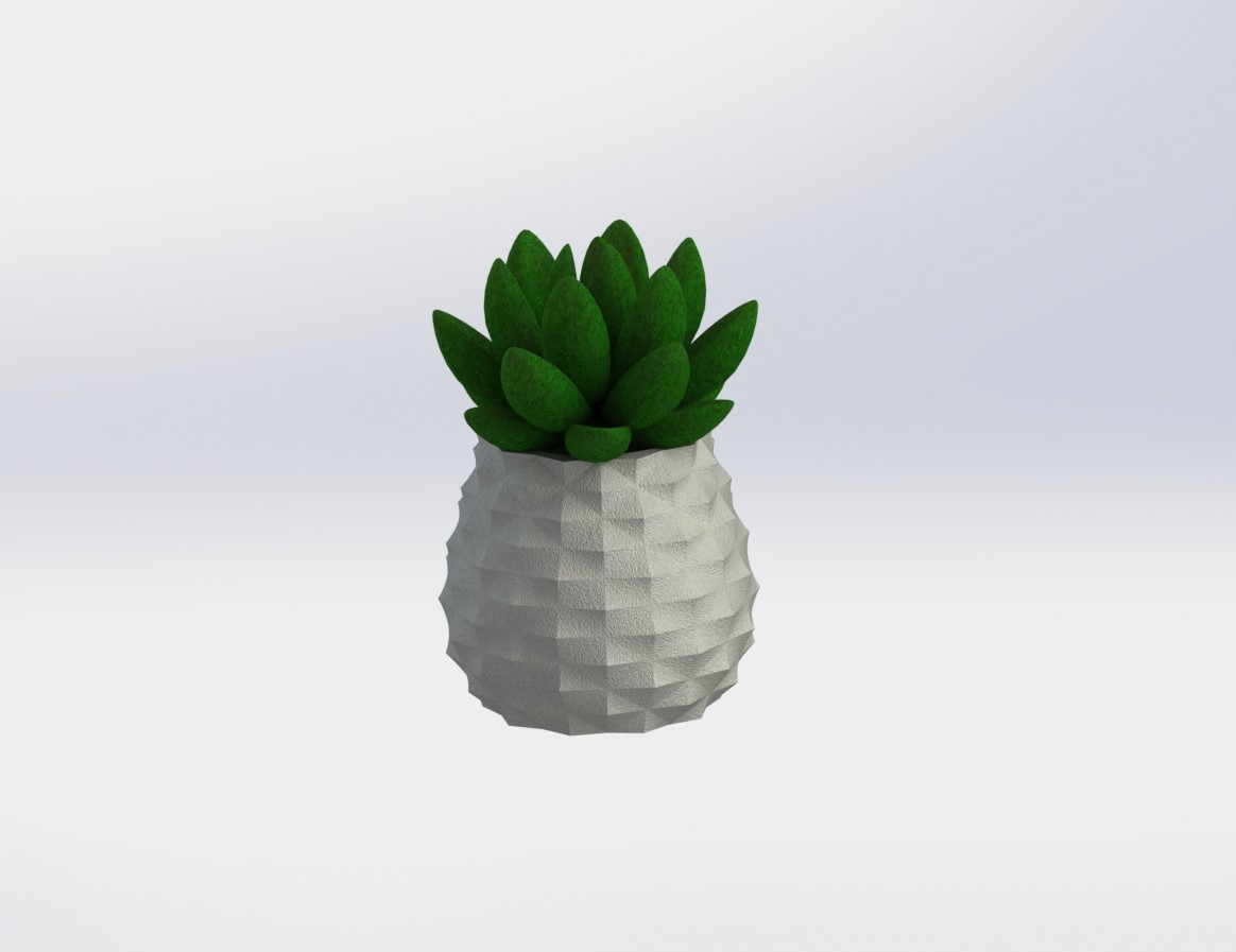 succulenta fioriera casa cactus impianti giardino fiore vaso 3D print model - Mito3D